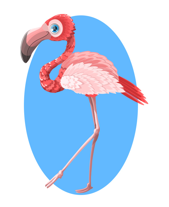 Cute Vector Flamingo Character
