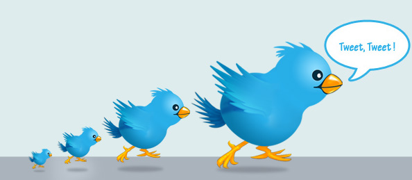 3 Twitter Bird Illustrations Preview Big 2