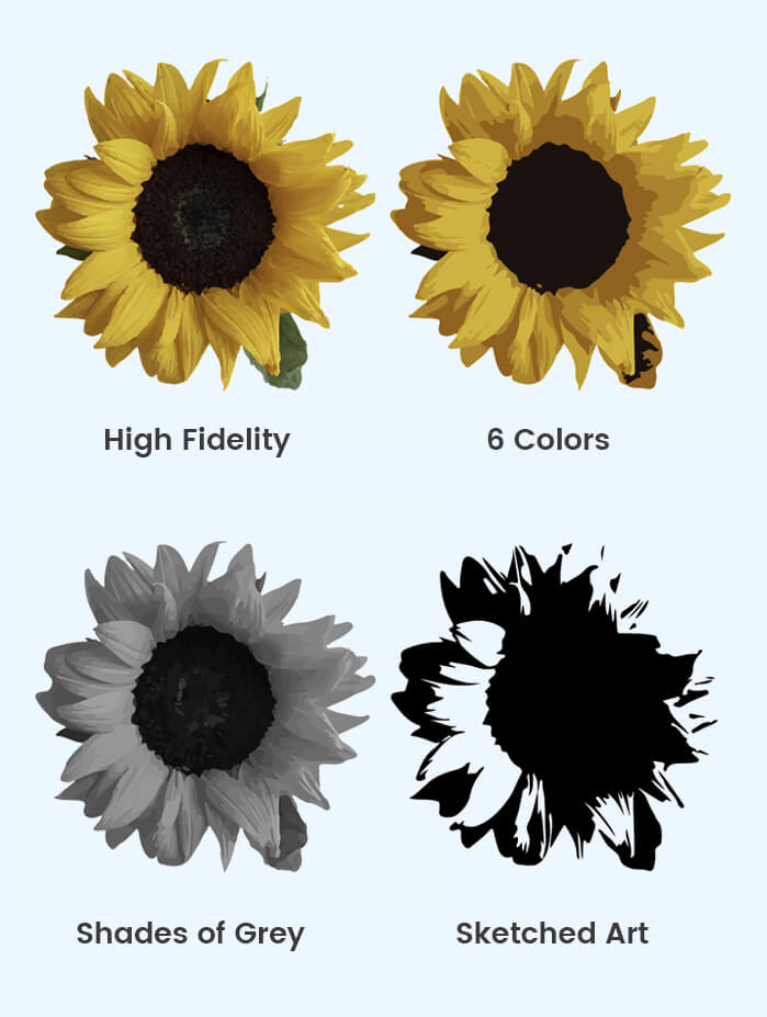 Convert JPG to Vector Different Results