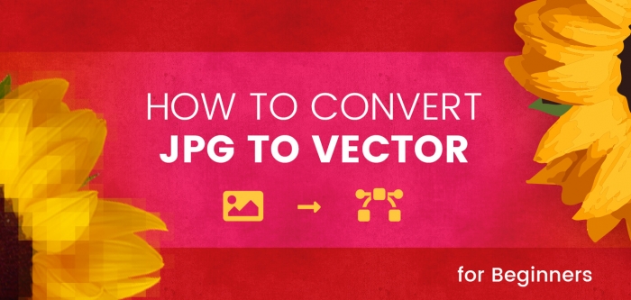 How to Convert JPG to Vector