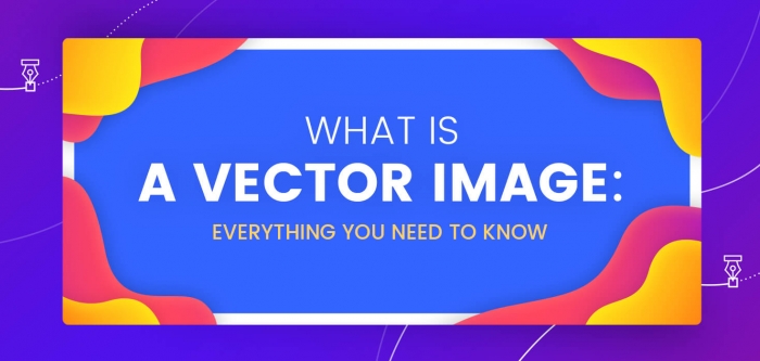 What is a Vector Image: Everything You Need to Know