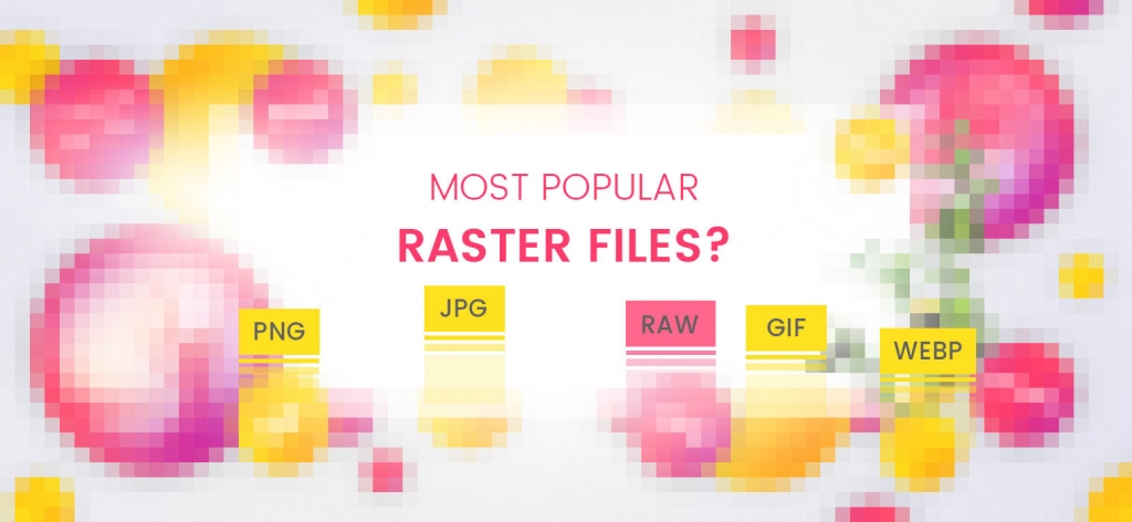 What are Raster Images and How to Optimize Them: Most Popular Raster Files