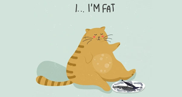 Free Fat cat drawing colored carton design