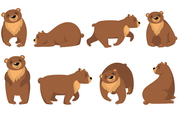 Grizzly bear vector